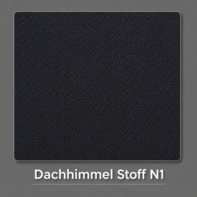 Dachhimmel Stoff N1 Vorschau