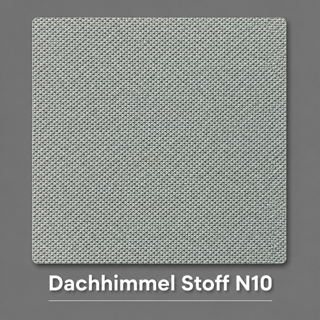 Dachhimmel Stoff N10 Vorschau