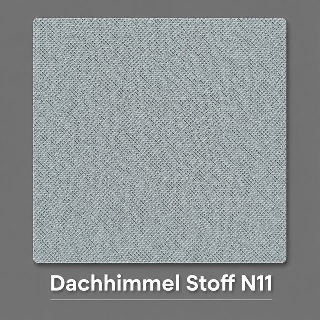 Dachhimmel Stoff N11 Vorschau