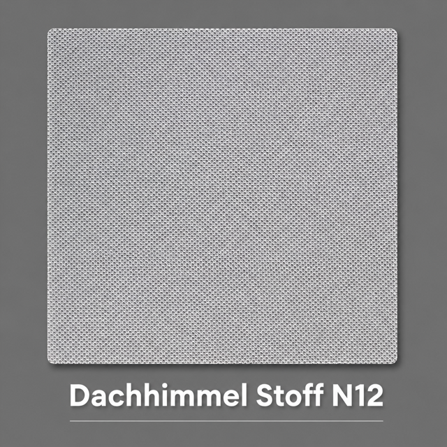 Dachhimmel Stoff N12 Vorschau