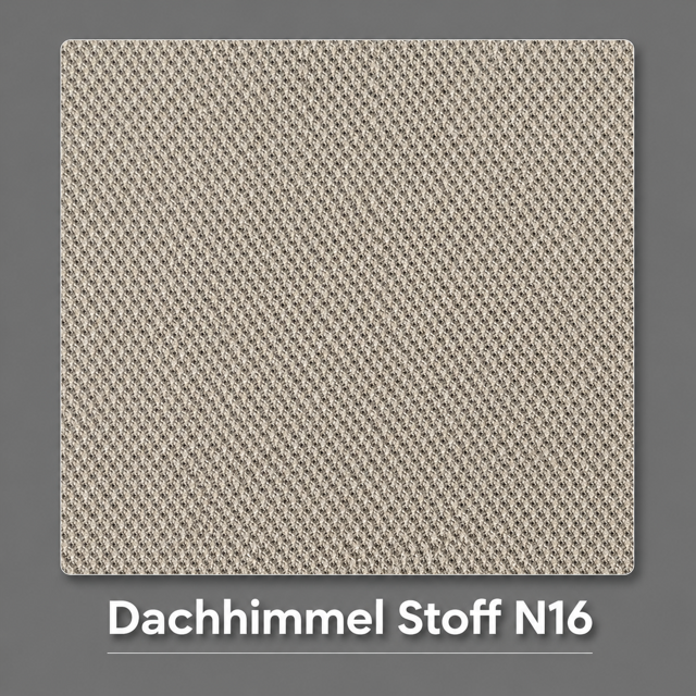 Dachhimmel Stoff N16 Vorschau