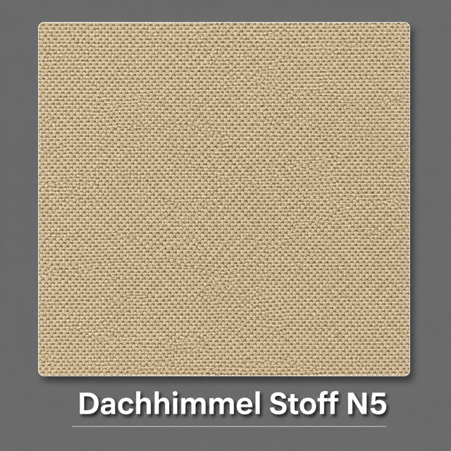 Dachhimmel Stoff N5 Vorschau