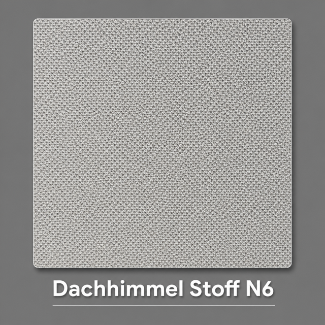 Dachhimmel Stoff N6 Vorschau