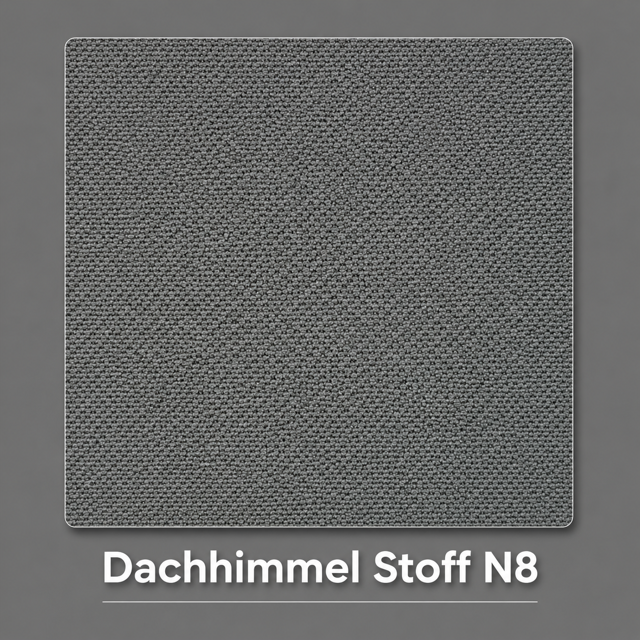 Dachhimmel Stoff N8 Vorschau