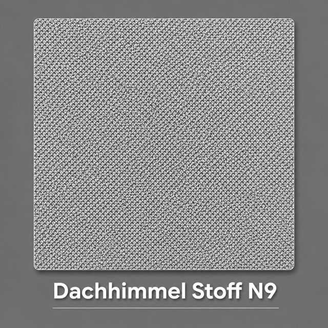 Dachhimmel Stoff N9 Vorschau
